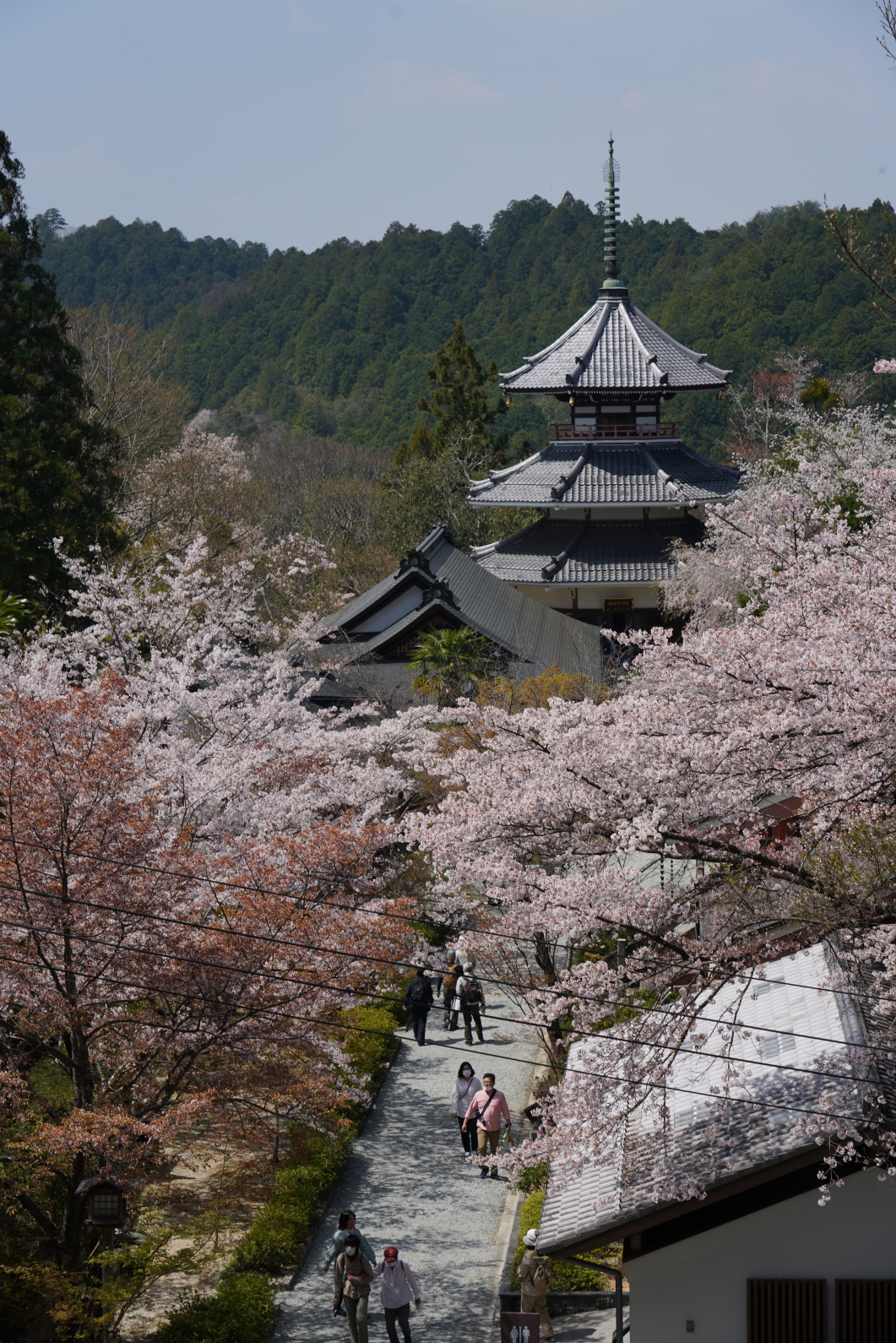 南朝皇居跡